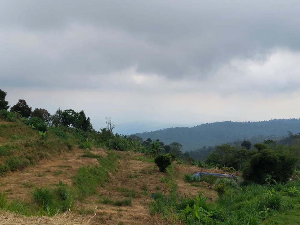 Natural landscape