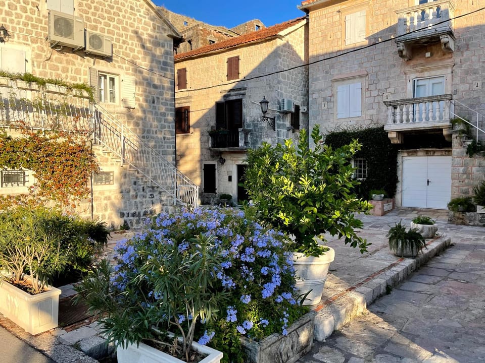 Property building, Garden view