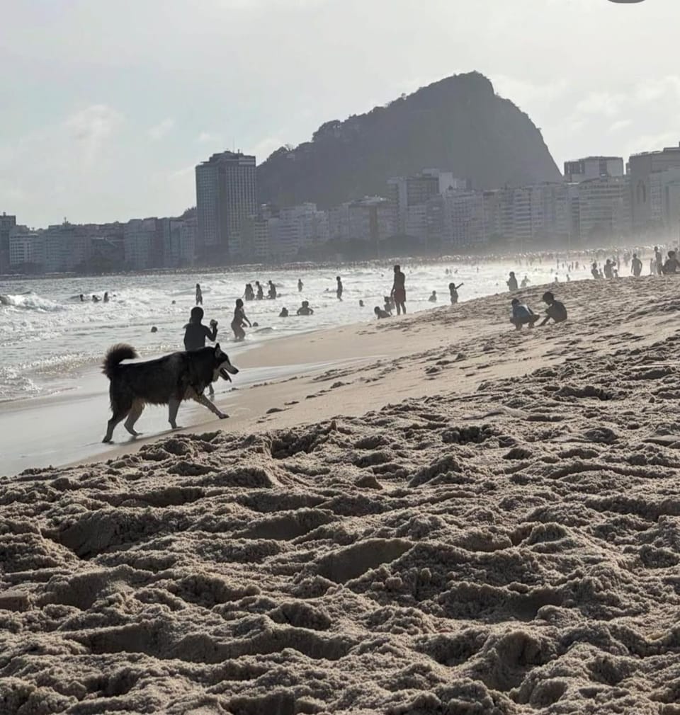 Vista-Mar Lateral - 2min da Praia de Copacabana Apartment in Rio de Janeiro