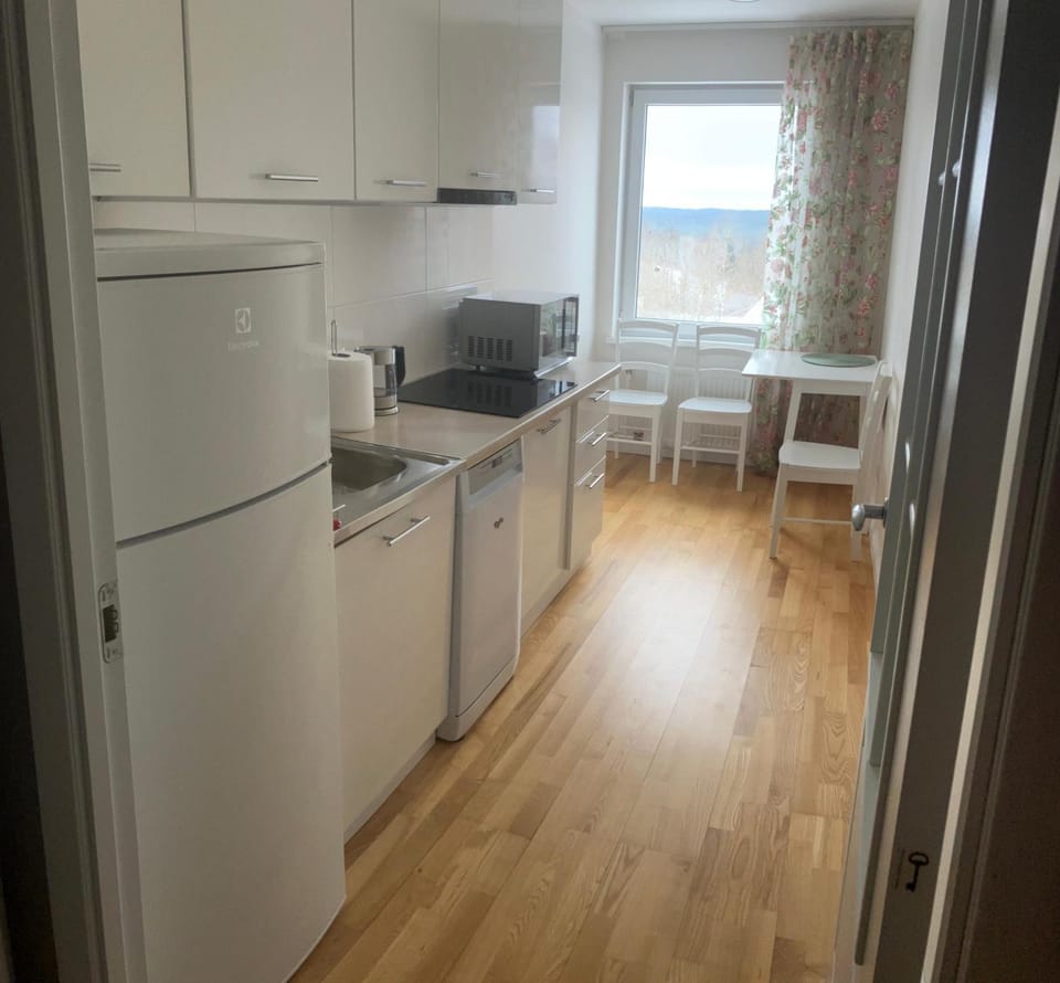 Kitchen or kitchenette, Dining area, dishwasher