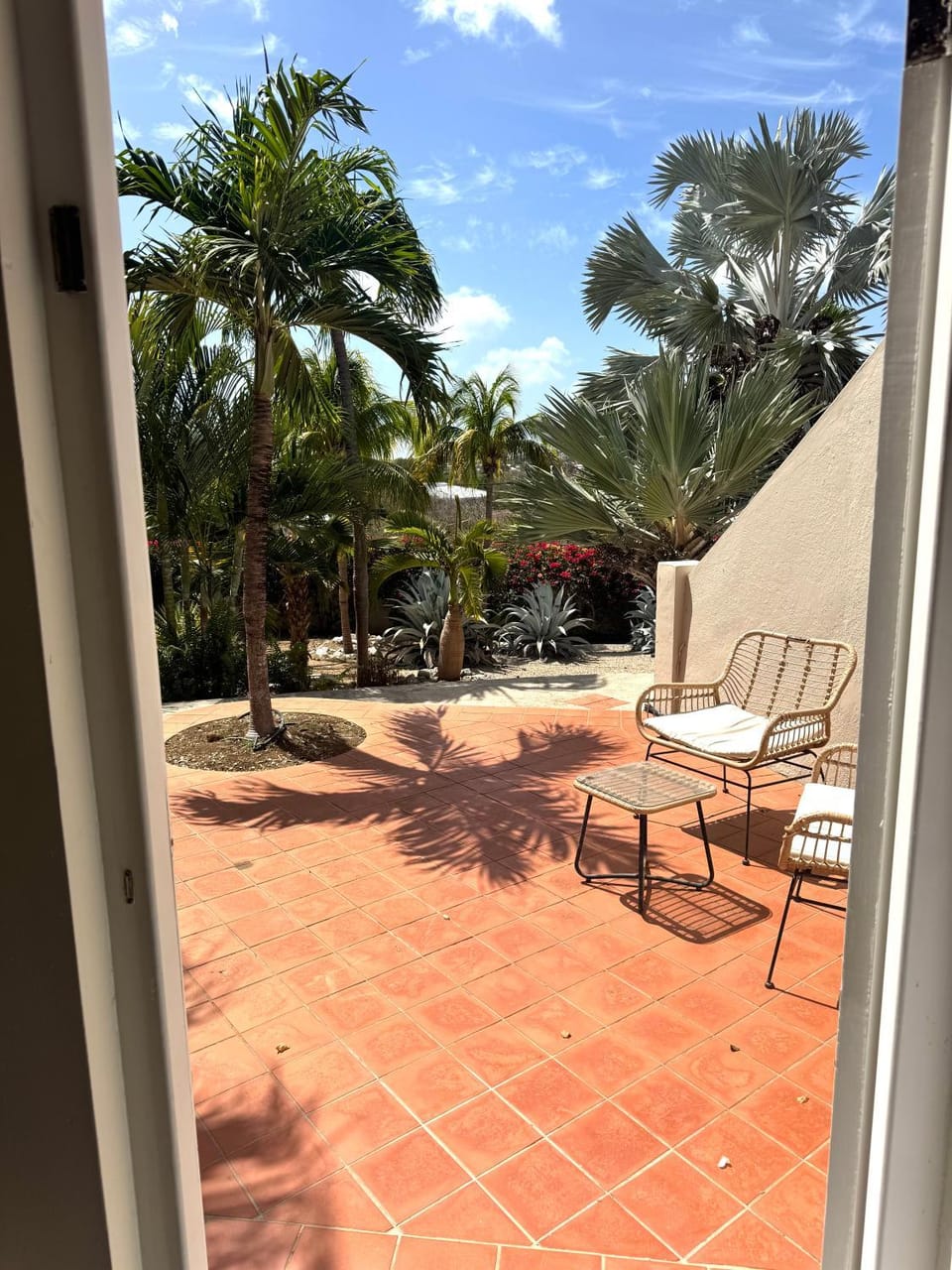 Property building, Garden, Garden view