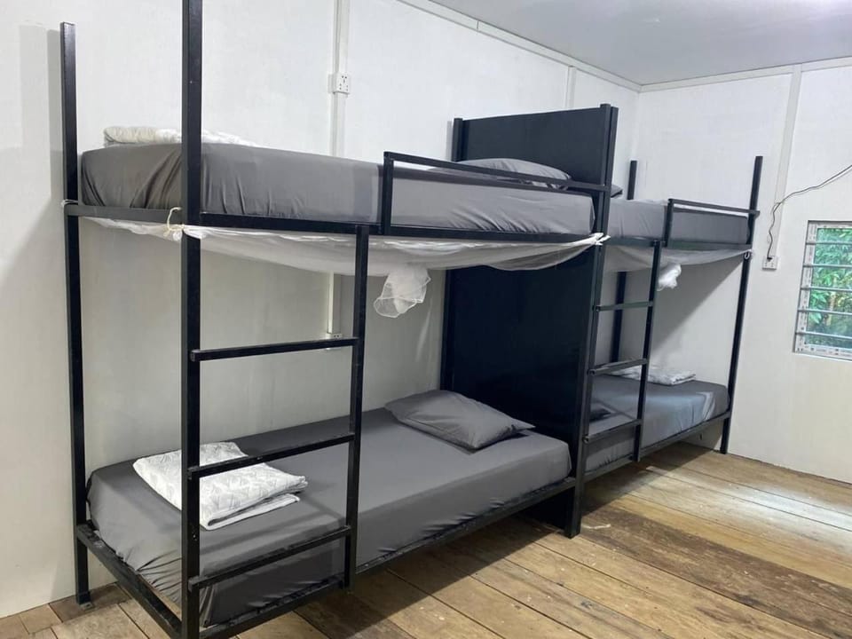 bunk bed