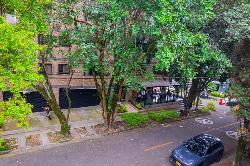 Neighbourhood, Natural landscape, Street view