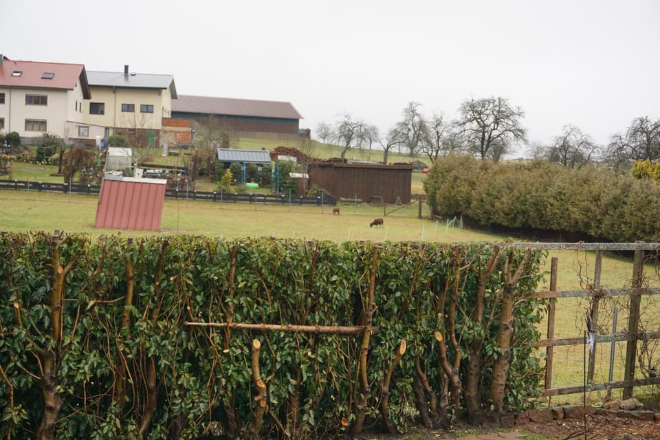 Garden view
