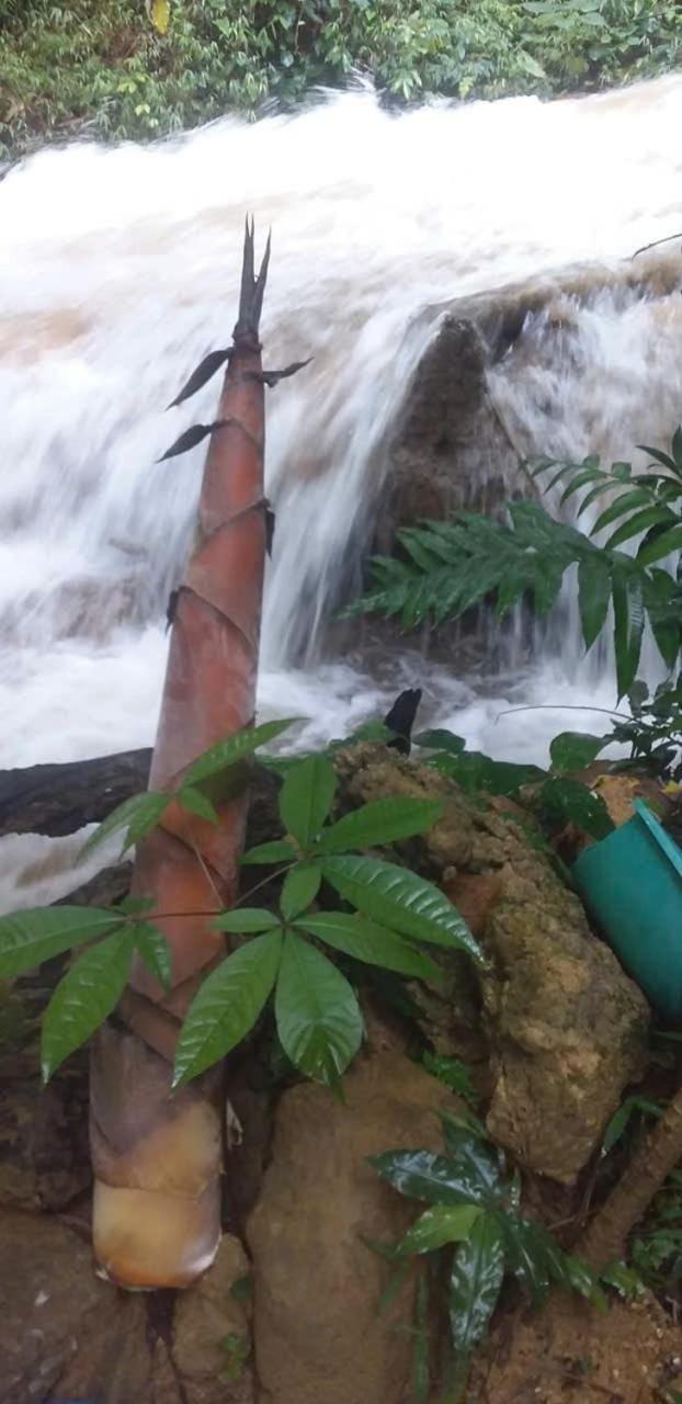 PU Luong Homestay secluded 2 Vacation rental in Vietnam