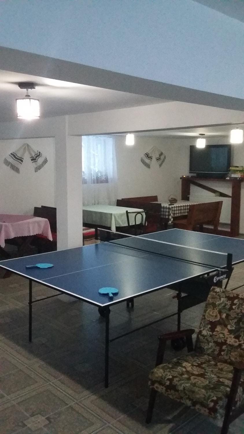 Table tennis, Entertainment