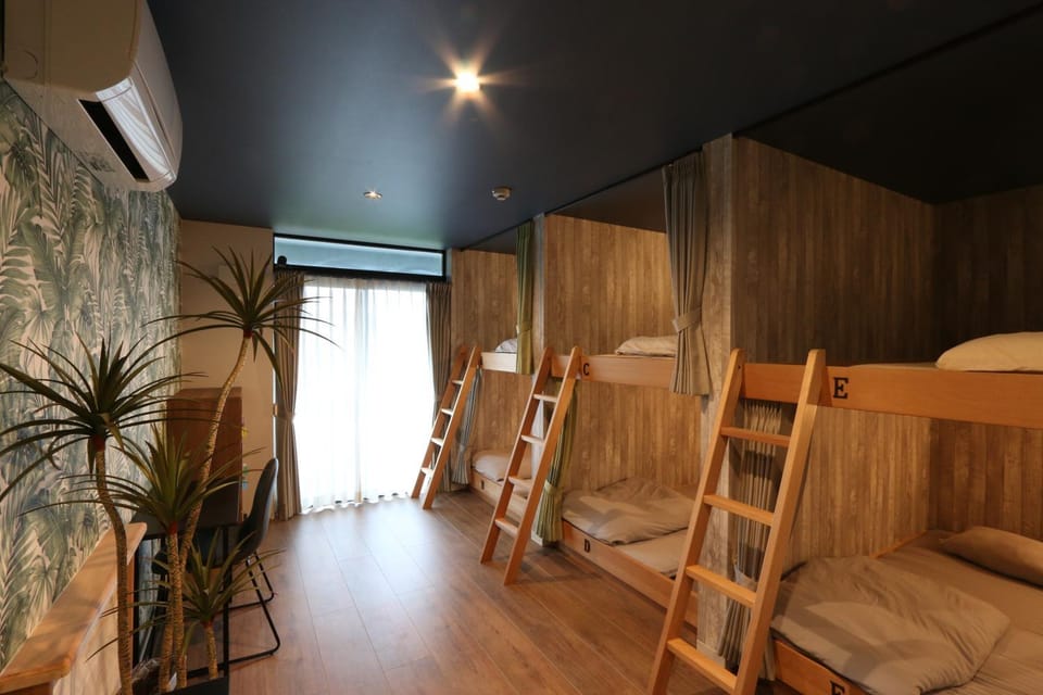 Bed, Photo of the whole room, bunk bed