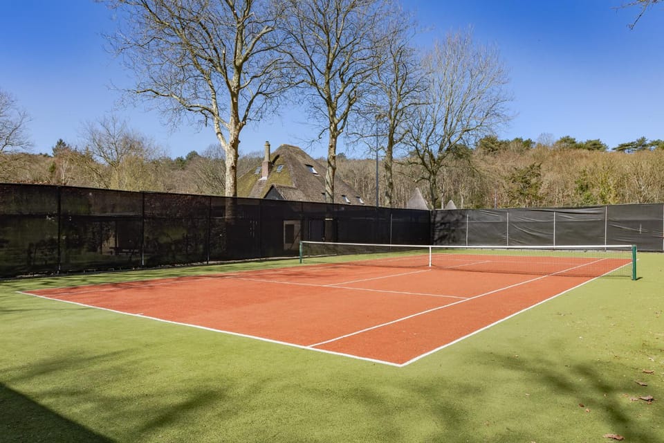 Tennis court, Tennis court