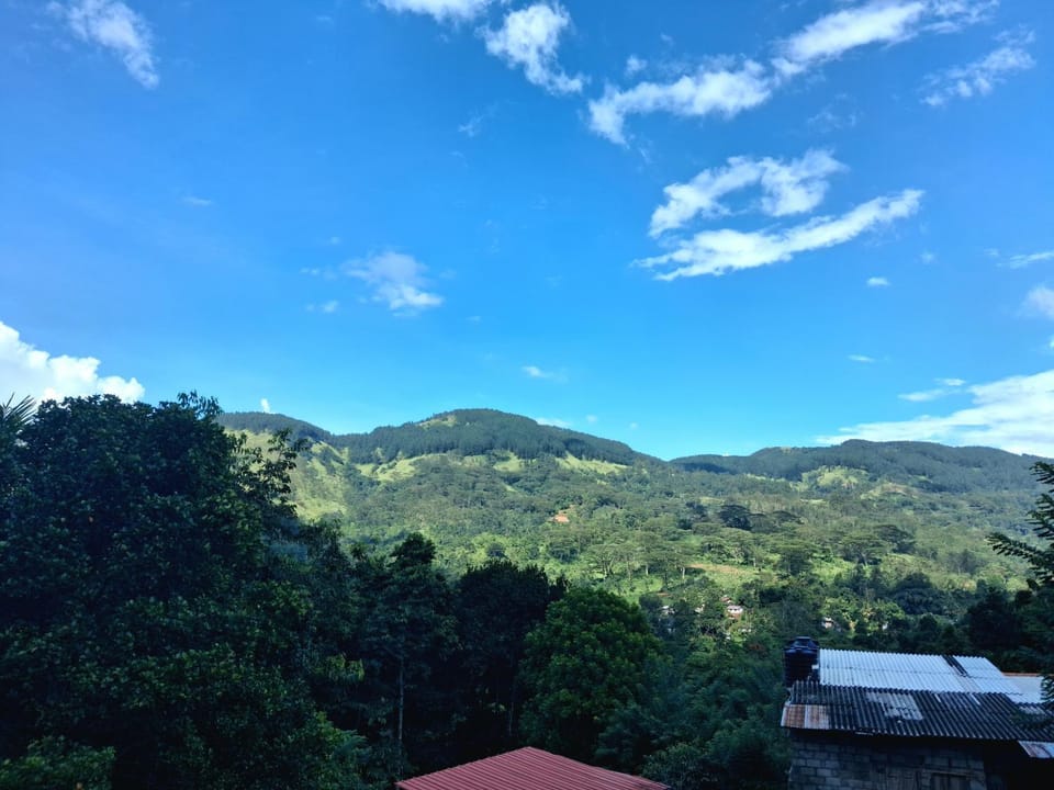 Mountain view