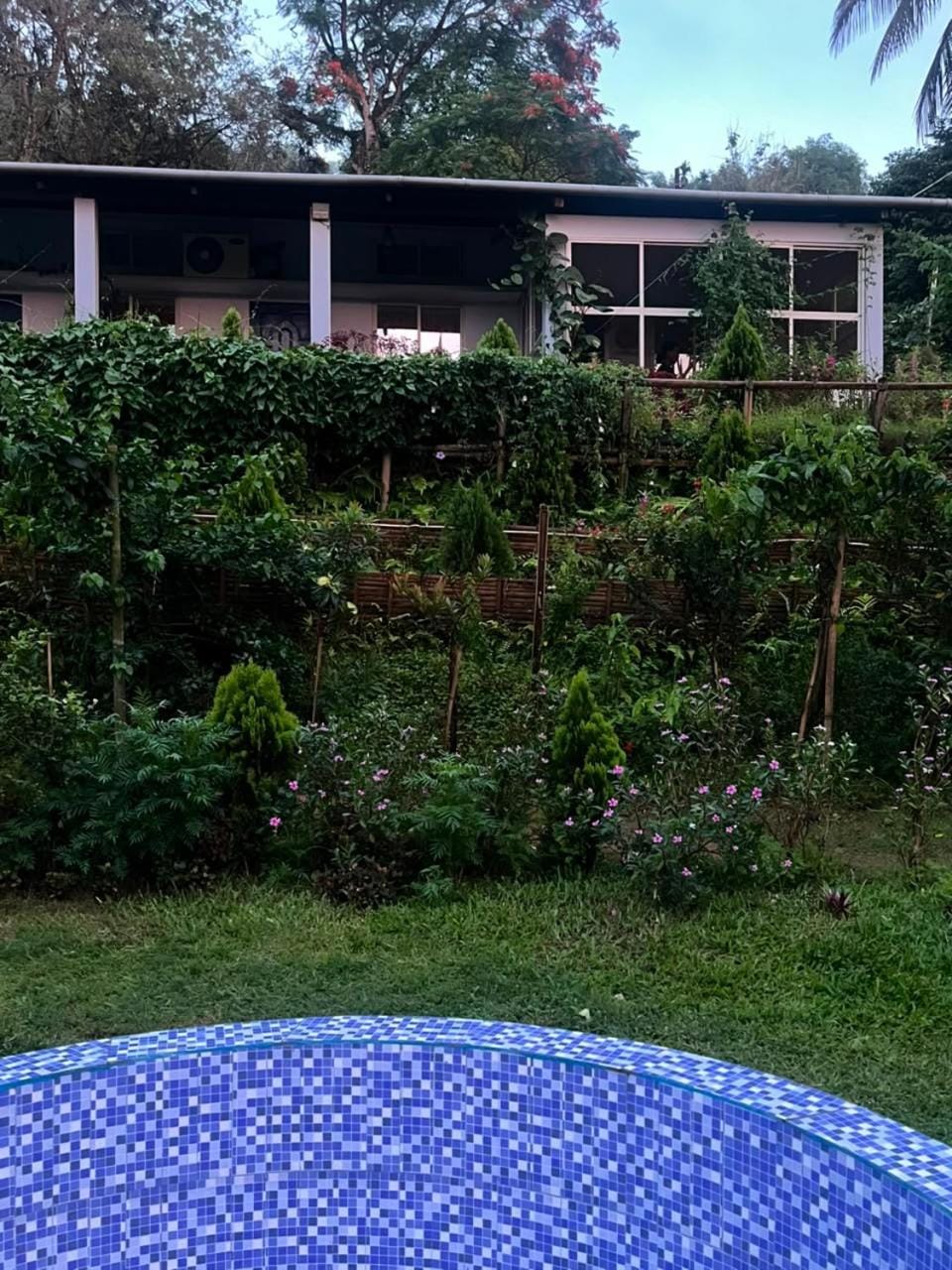 Property building, Spring, Day, Garden, Garden view
