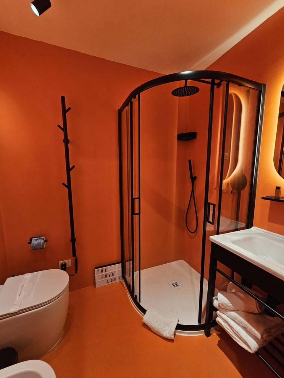 Shower, Toilet, Bathroom, bidet