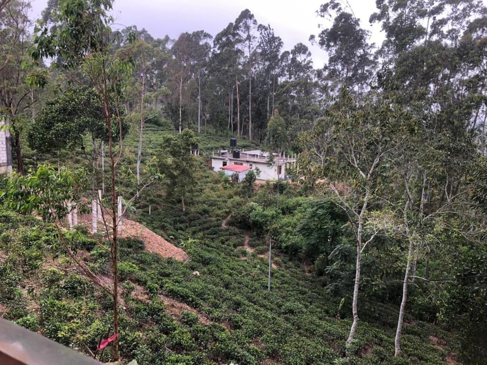 Natural landscape, Garden view