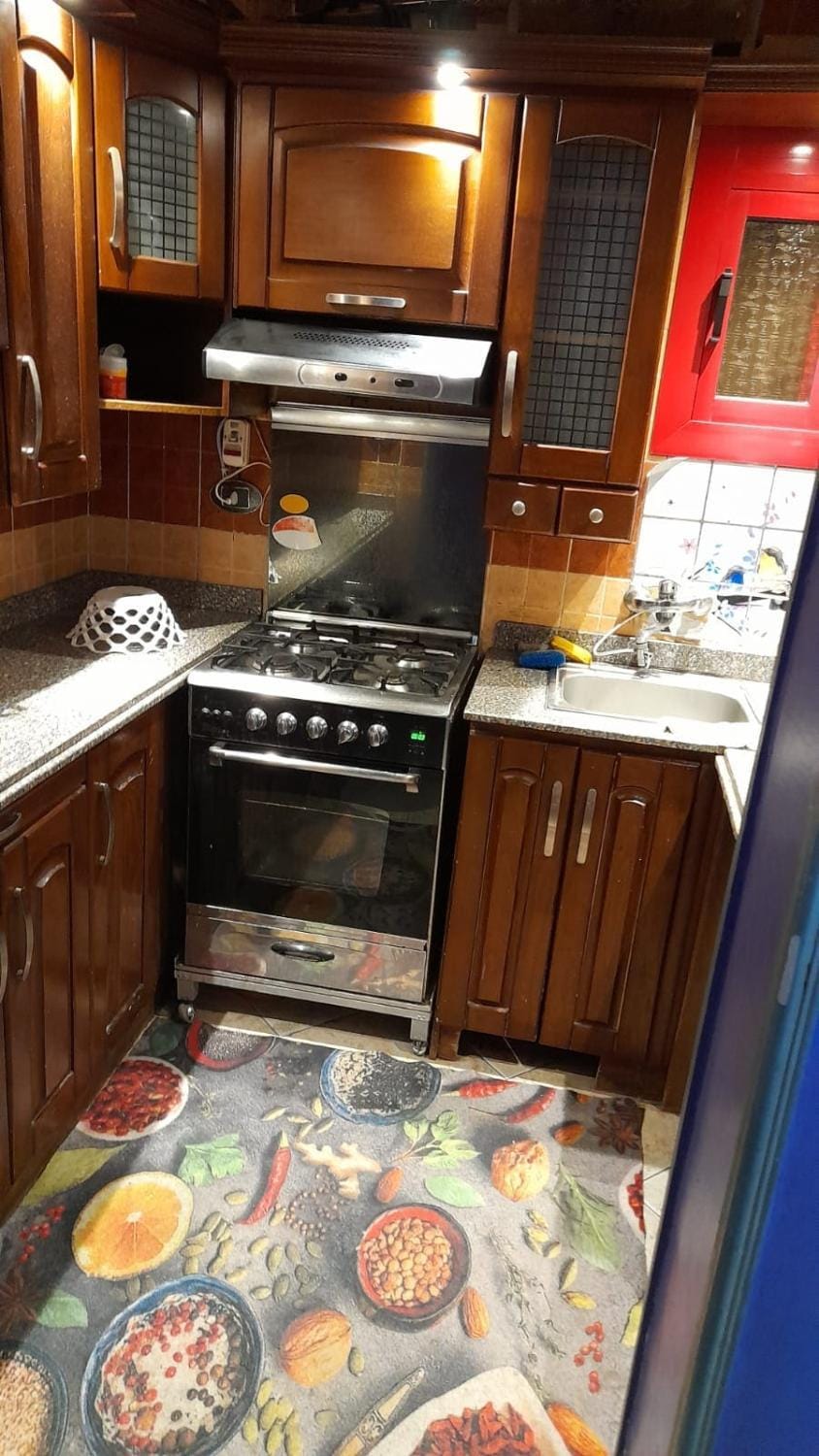 ShahinZ Cozy Appt Apartment in Cairo Governorate