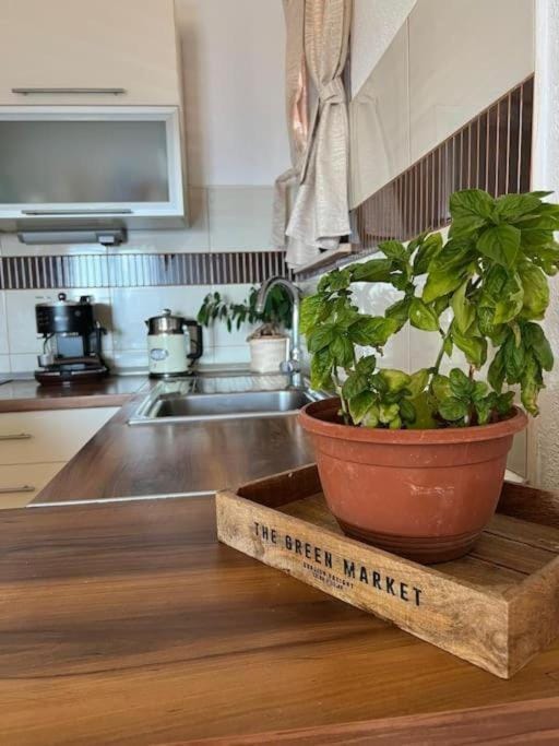 Apartman Snježana Apartment in Šibenik-Knin County, Croatia