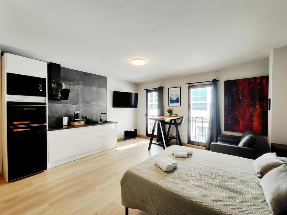 Suite imperial Muralla de Lugo 2.2 Apartment in Lugo