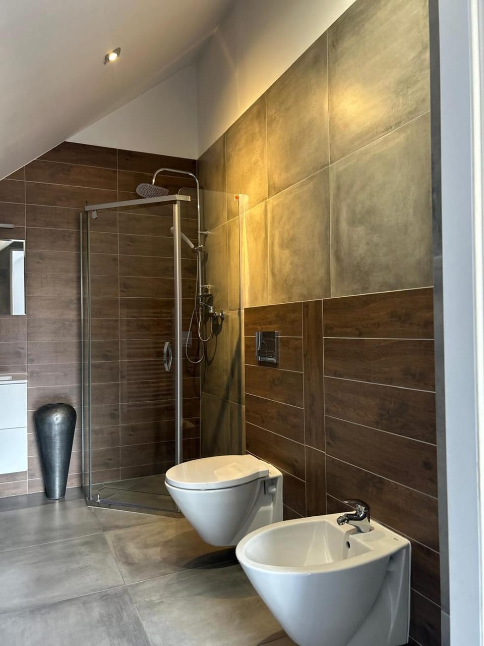 Shower, Toilet, Bathroom, bidet