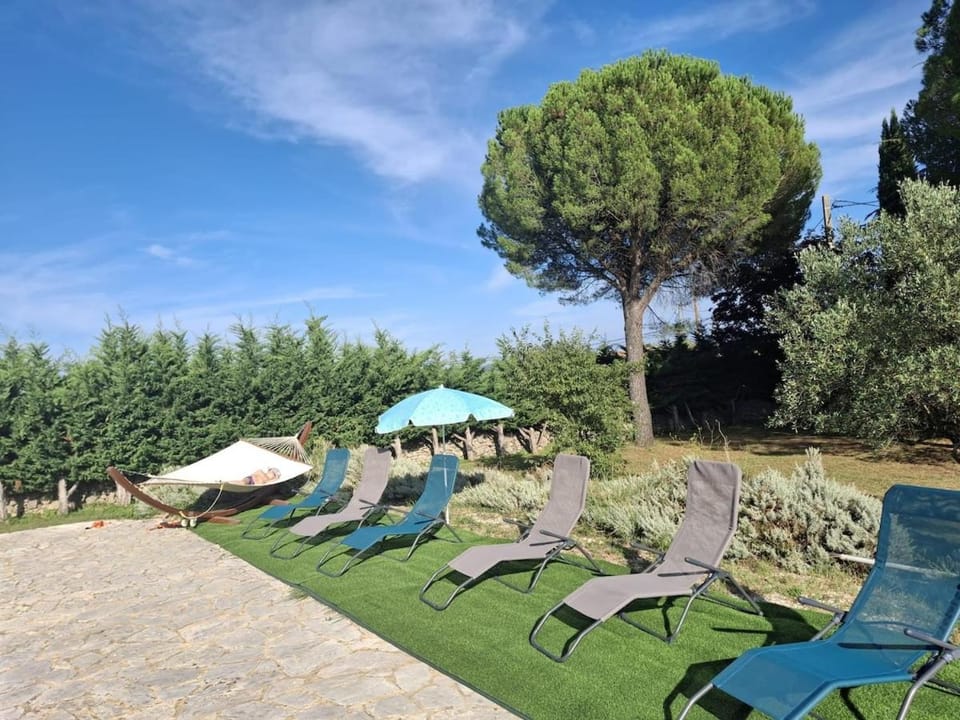 Natural landscape, Garden, Swimming pool, sunbed