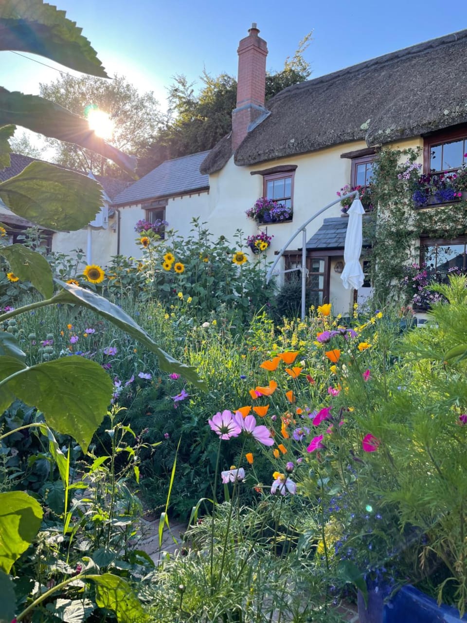 Honey Meadow Retreat House in North Devon District