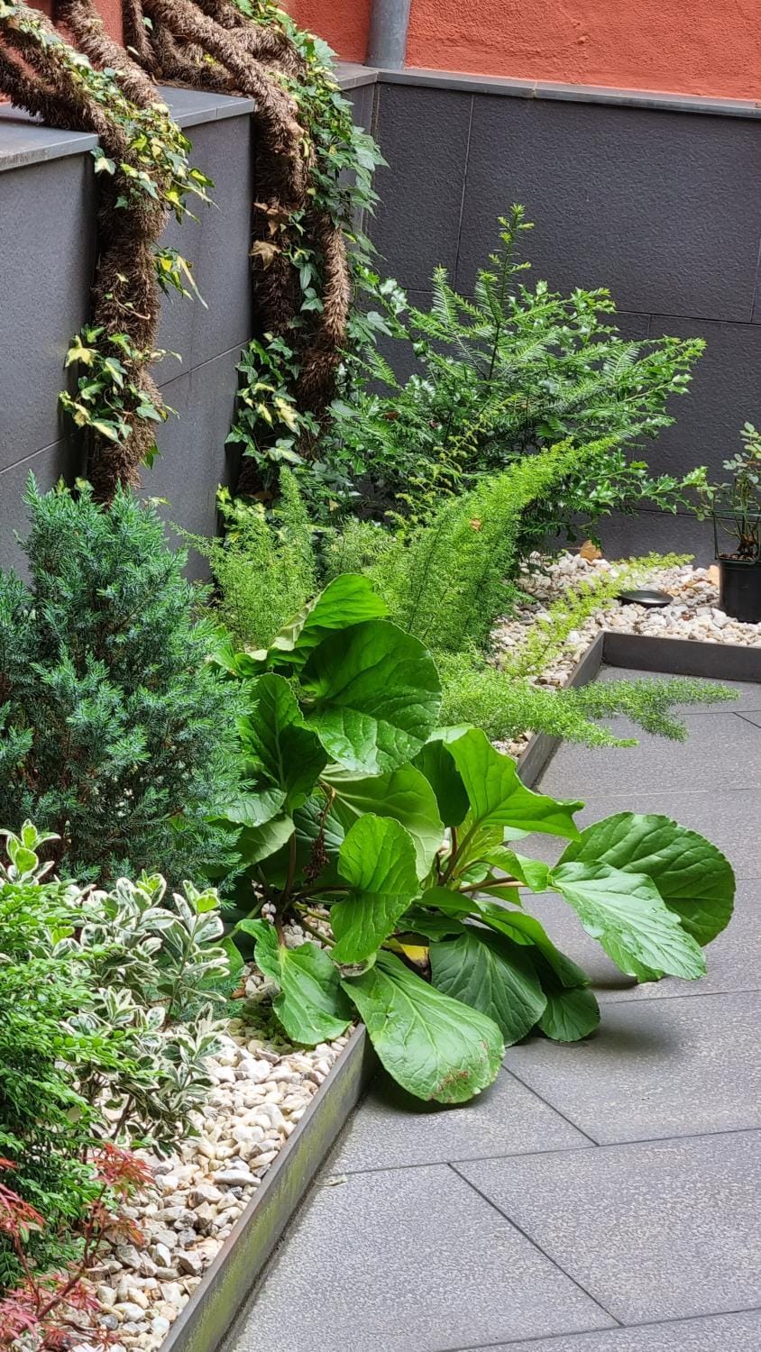 Garden, Garden