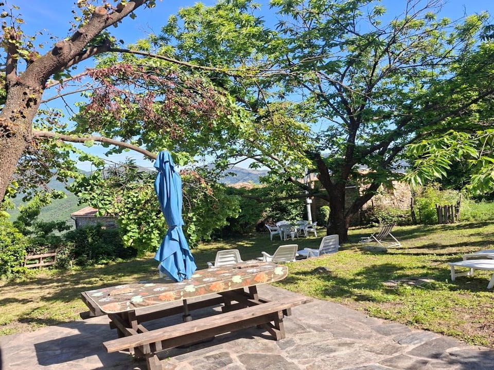 BBQ facilities, Garden, Dining area