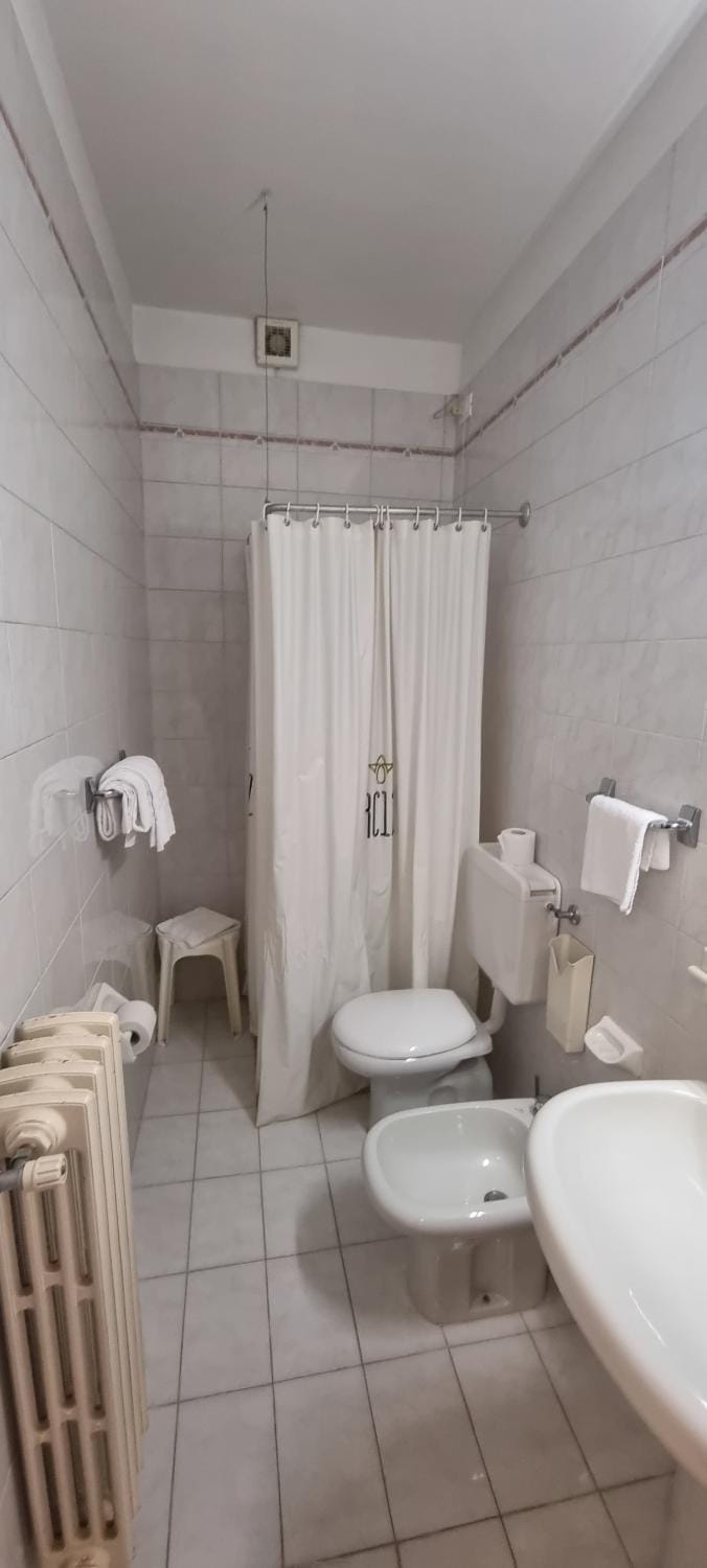 Shower, Toilet, Bathroom, bidet