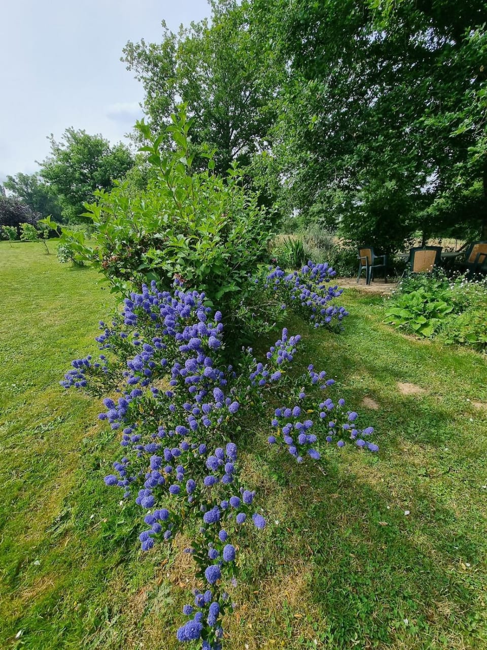 Spring, Day, Natural landscape, Garden, Garden view