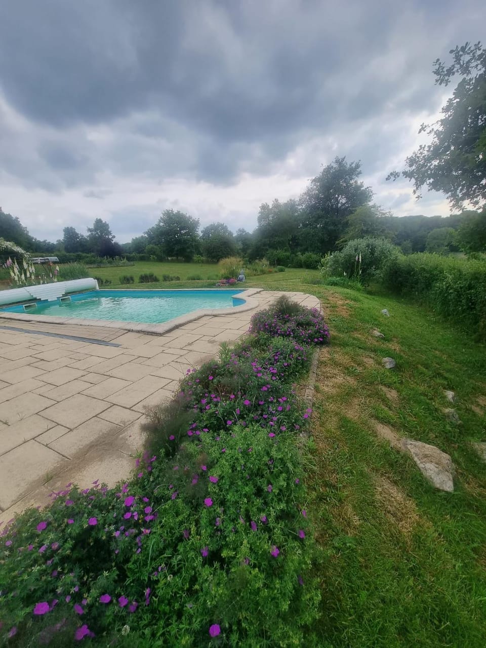 Spring, Day, Natural landscape, Garden, Garden view, Pool view, Swimming pool