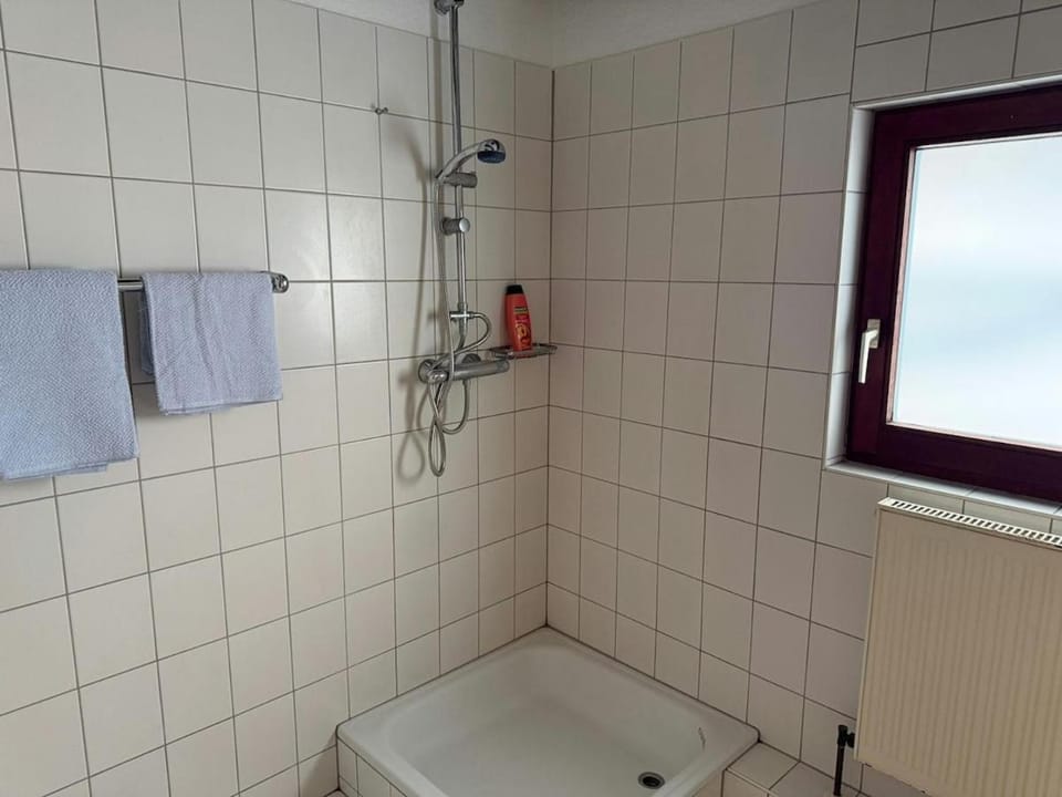 Shower, Bathroom, towels