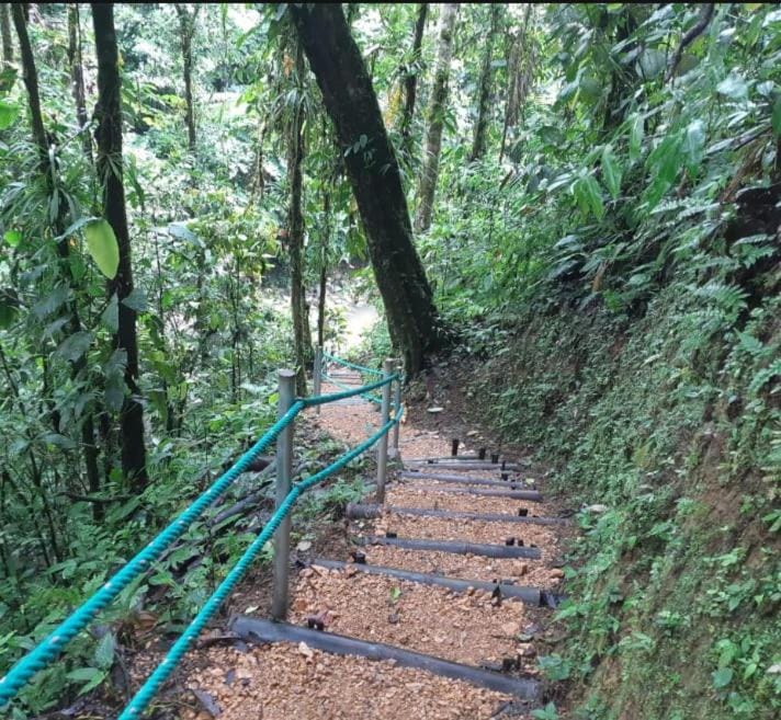Glamping Bambú Campground/ 
RV Resort in Pichincha