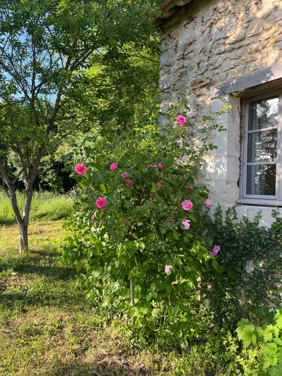 La Papinière House in Pays de la Loire