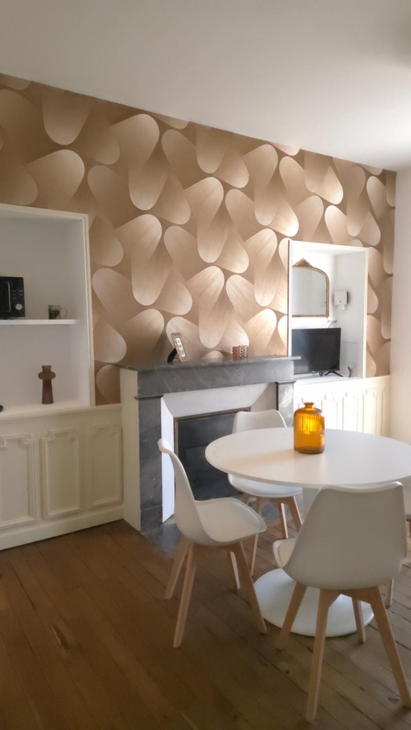 Appartement Au fil de l'eau à Chinon # Site historique # balcon # terrasse Apartment in Centre-Val de Loire