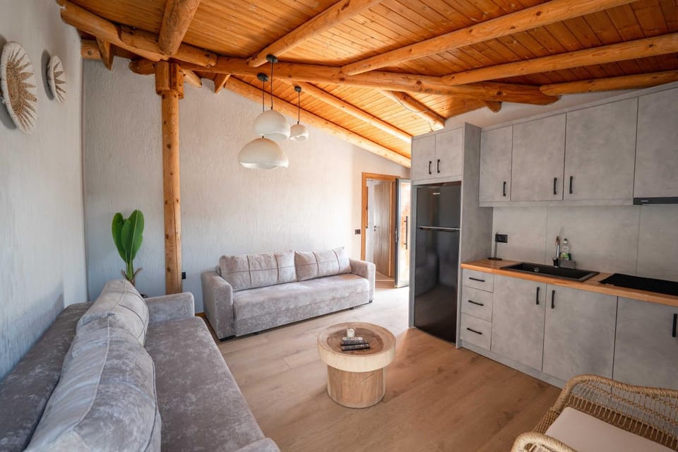 Kitchen or kitchenette, Living room, Seating area, Dining area, pet friendly, stove