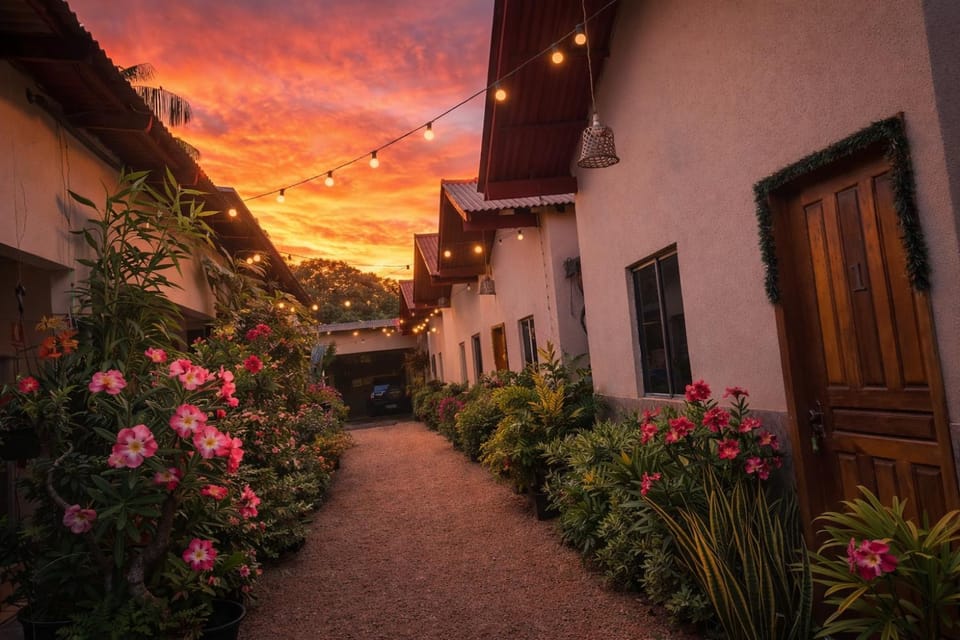 Property building, Garden, Garden view, Sunset