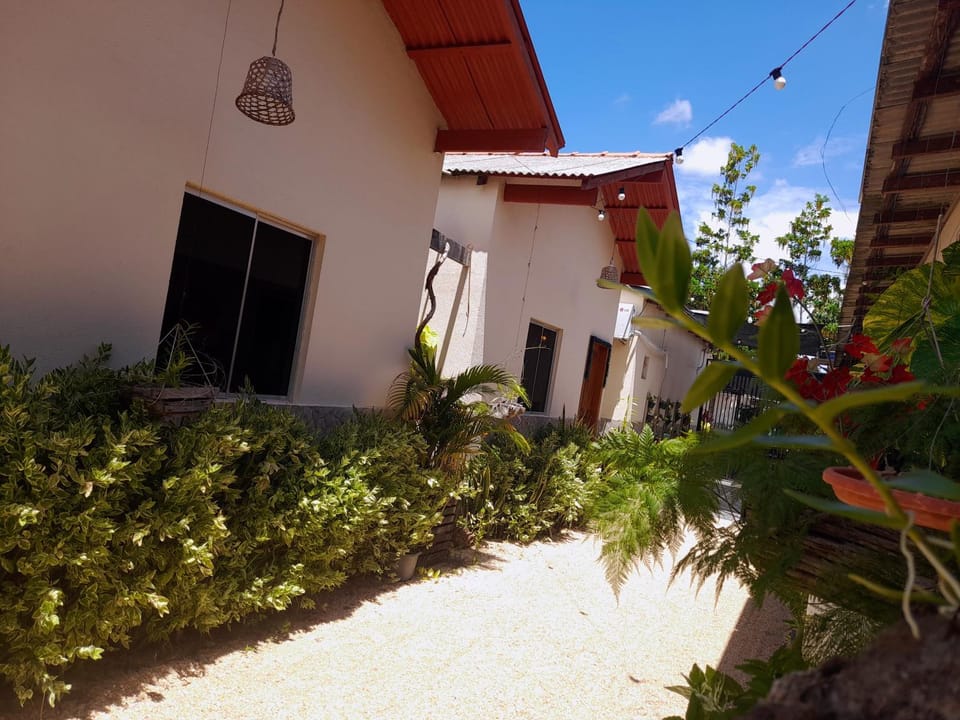 Property building, Spring, Day, Garden view