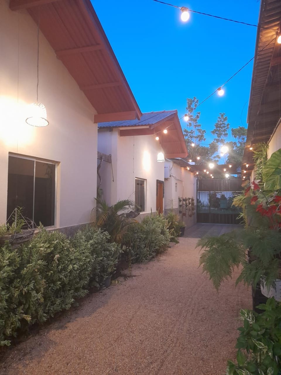 Property building, Night