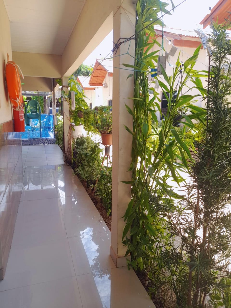 Spring, Day, Garden view