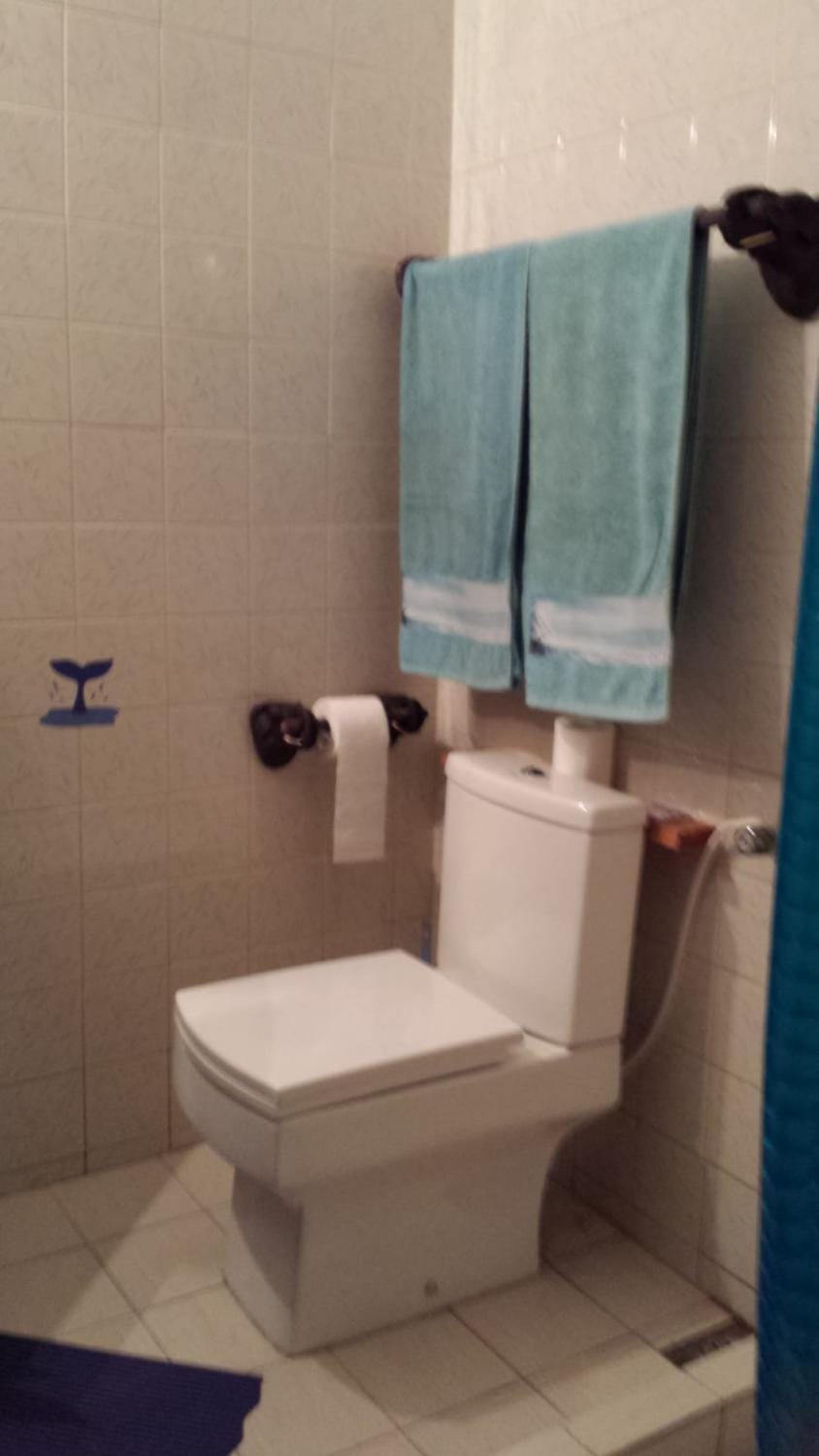 Toilet, Bathroom