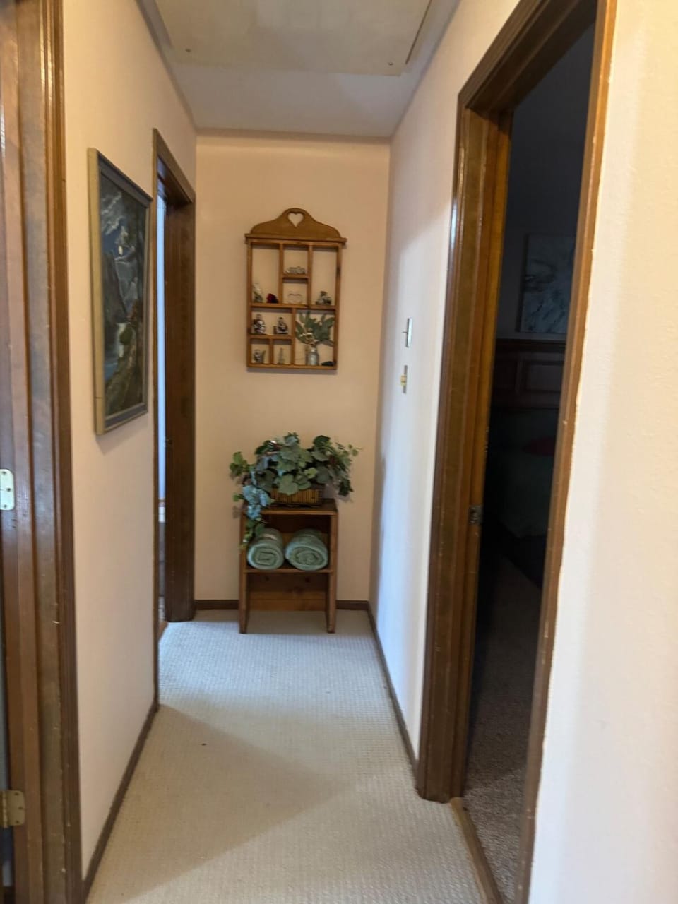 Soccer fans welcome! Cozy home in Kansas City area House in Lees Summit