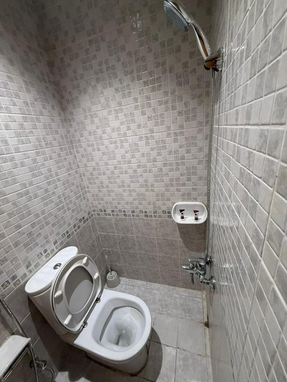 Shower, Toilet, Bathroom, bidet