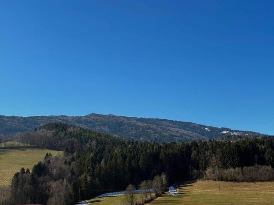 Kleines Paradies am Gries Apartment in Austria