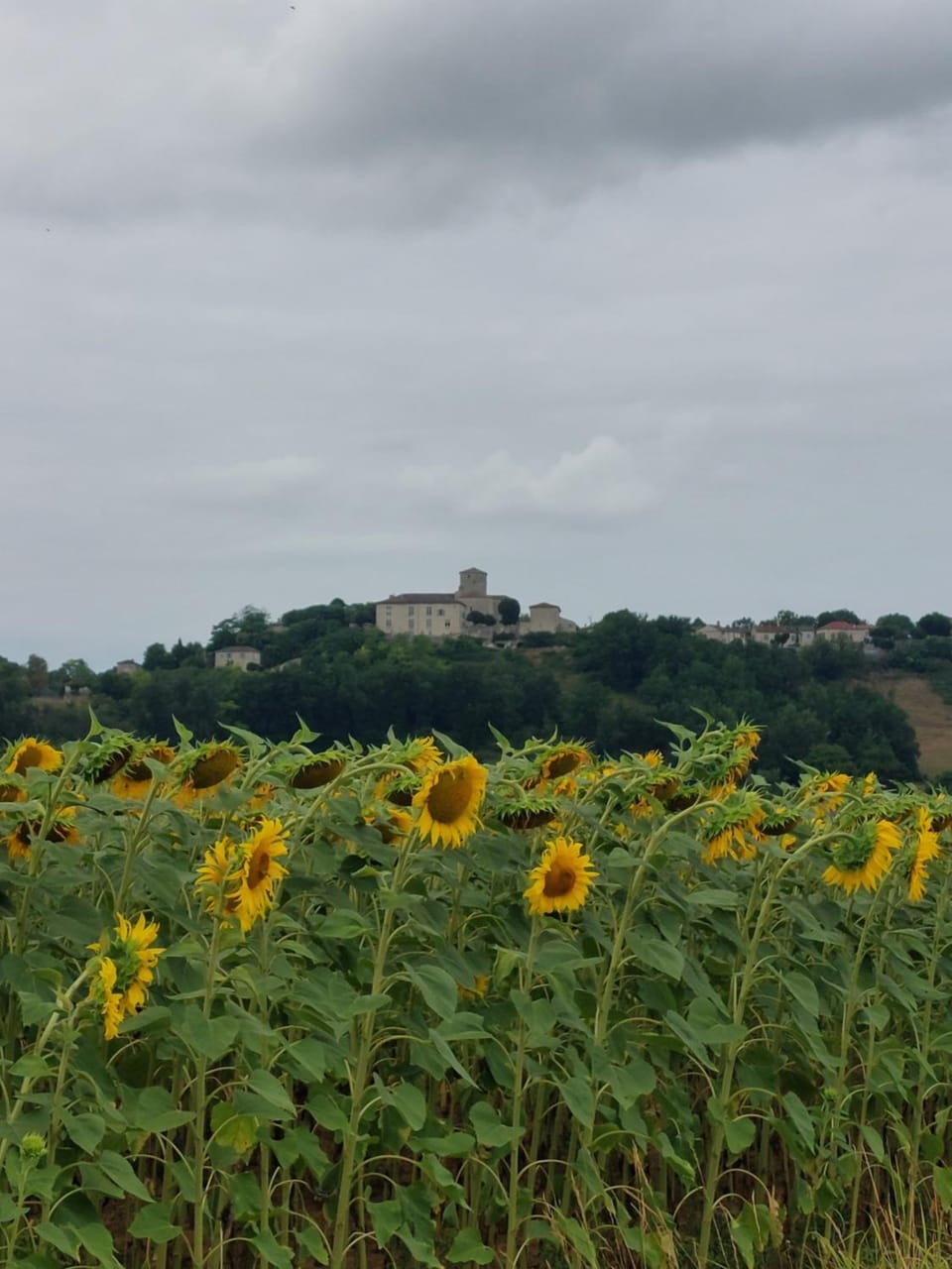 La Maison d'ART Apartment in Occitanie
