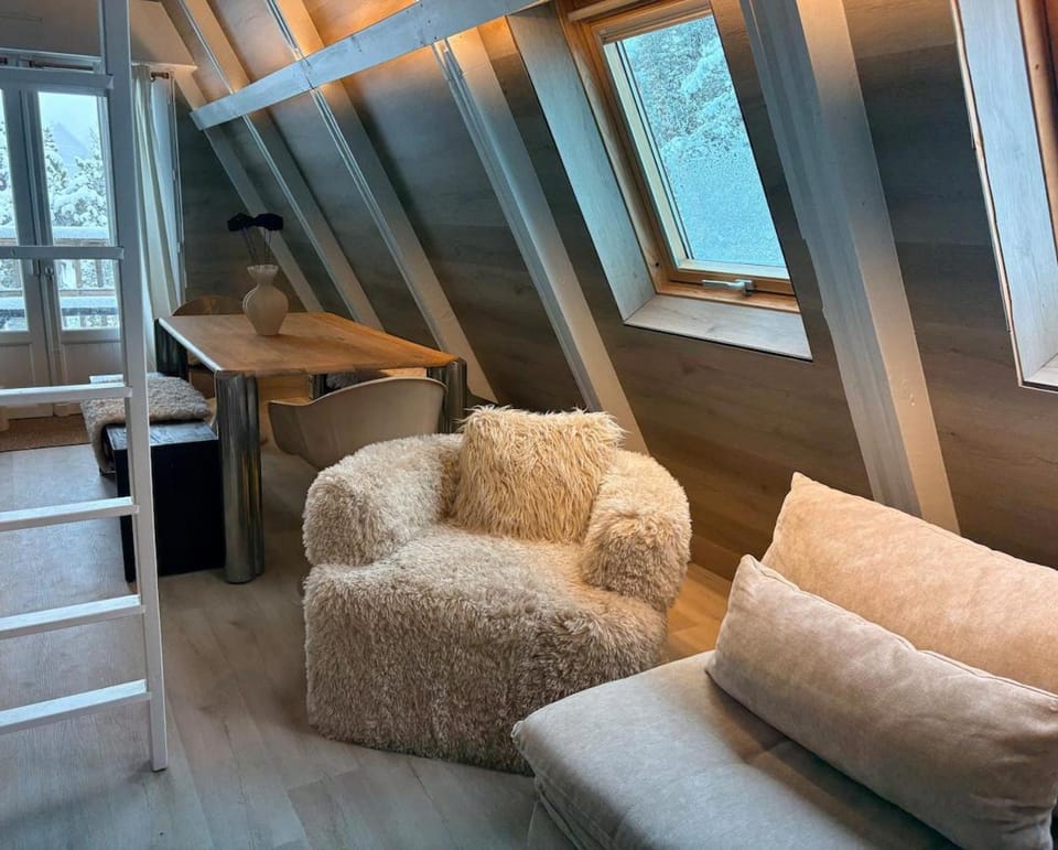 Roca Pina chalet pieds des pistes Chalet in Navarre