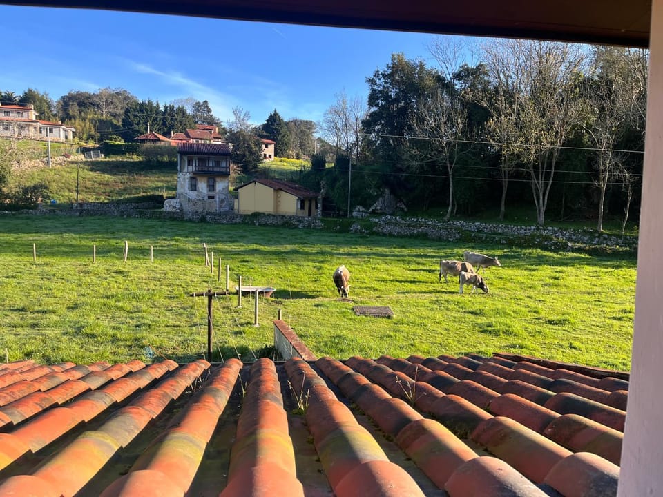 Garden, Garden view