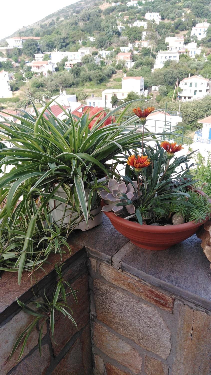 View (from property/room), Balcony/Terrace