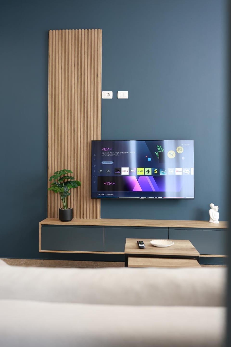 TV and multimedia