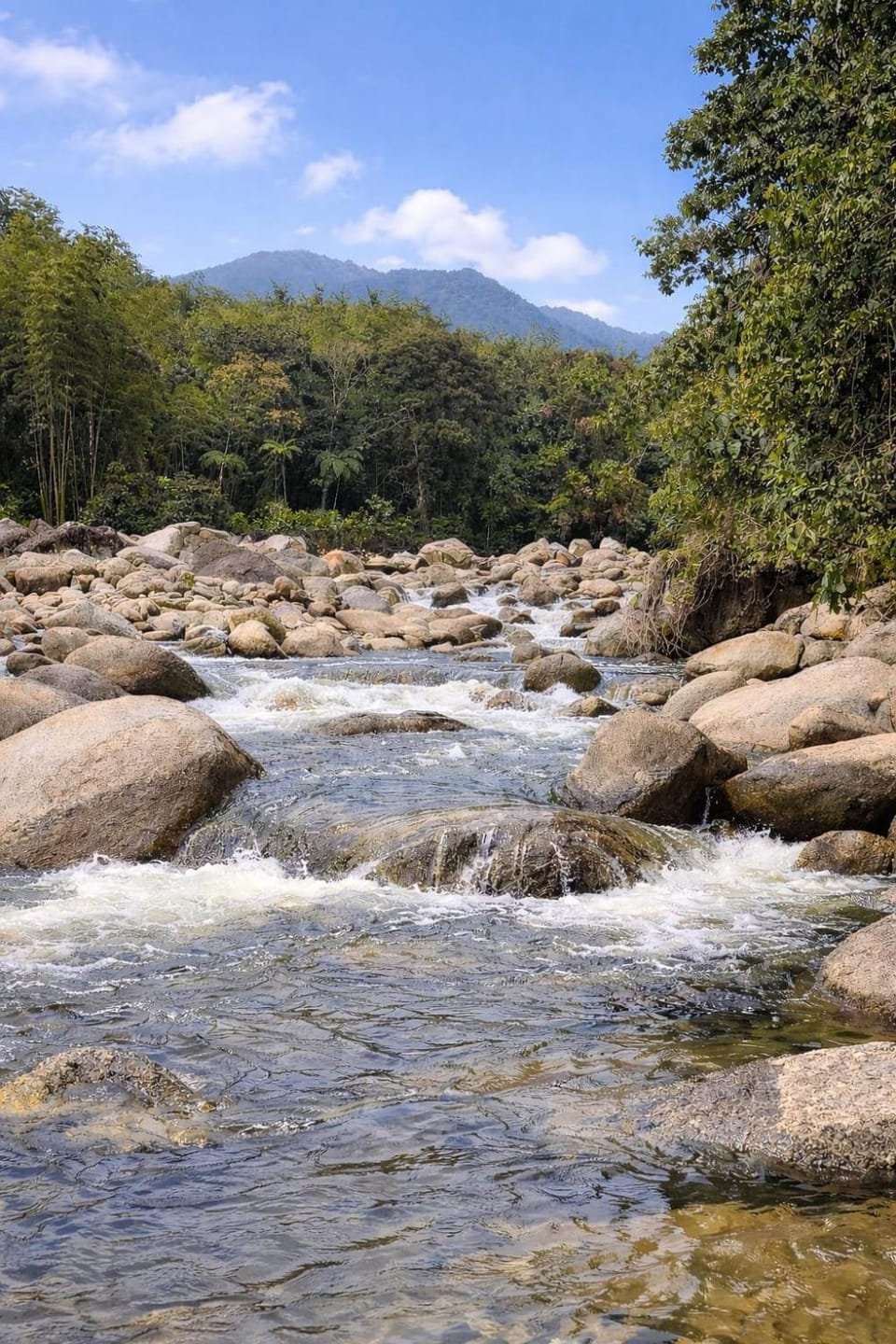 Refugio La Tángara del Río House in Antioquia