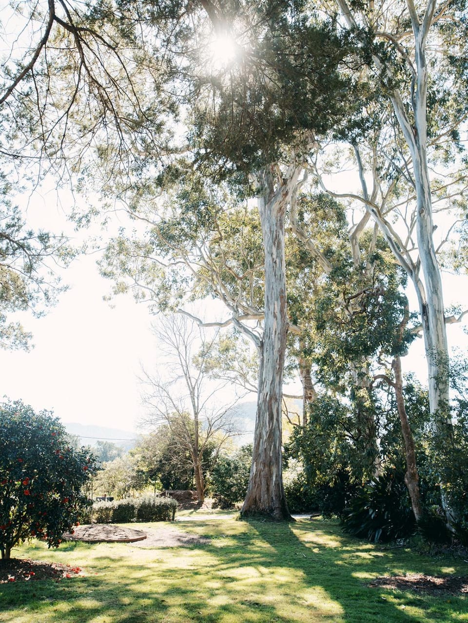 Wyobie Gum Leaf 2, Walk to KV, Your Dog & Pool Apartment in Kangaroo Valley