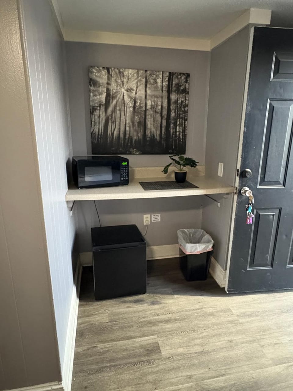 Kitchen or kitchenette, minibar