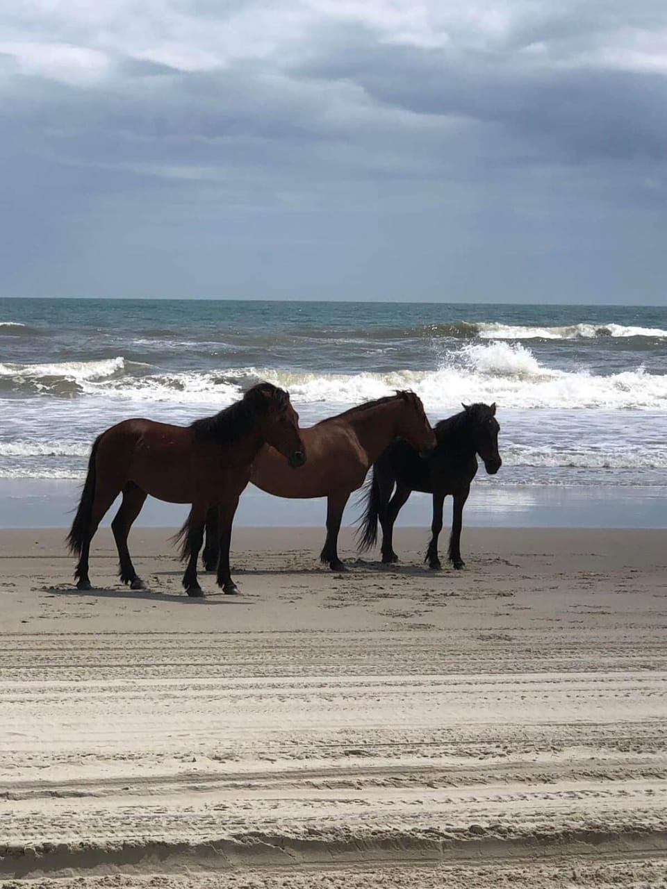 Untamed in Carova: Where the Wild Horses Roam House in Carova Beach