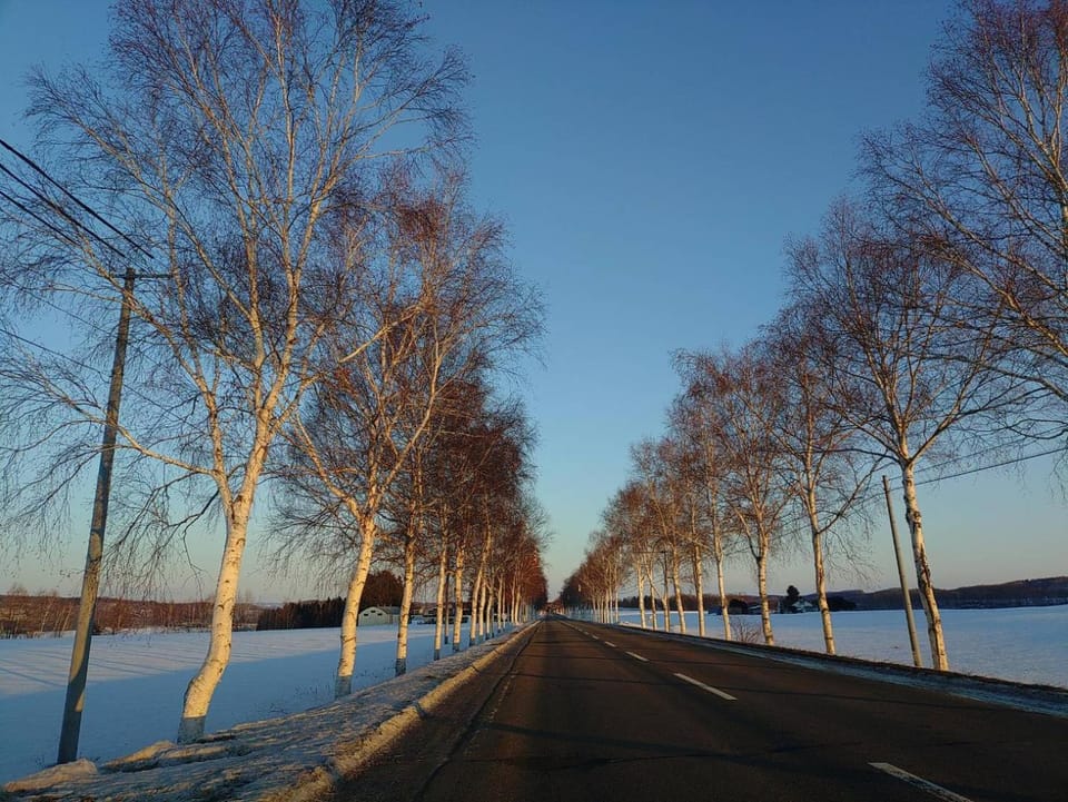 Natural landscape